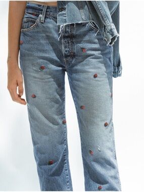 AMO Light Blue Straight Jeans with Red Rose Embroidery